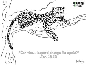 SeedPod Beginners | Week 34 – Leopard in Tree