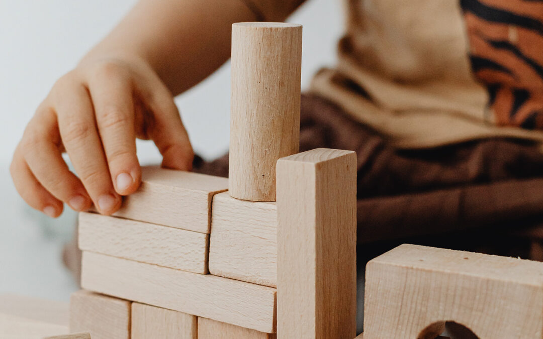 LESSON 25: FAITHFUL BUILDERS