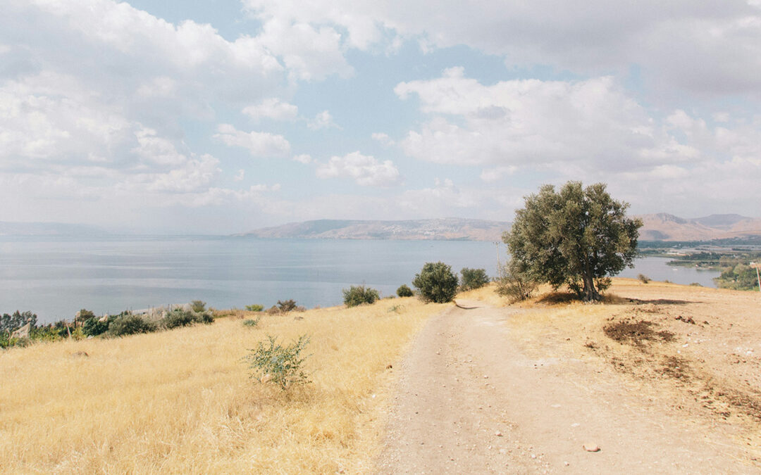 LESSON 18: JESUS TELLS SOME STORIES